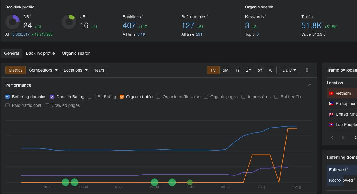 Ahrefs Traffic Screenshot - 11