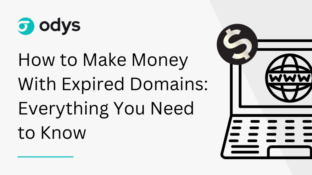 Make Money With Expired Domains Featured Image