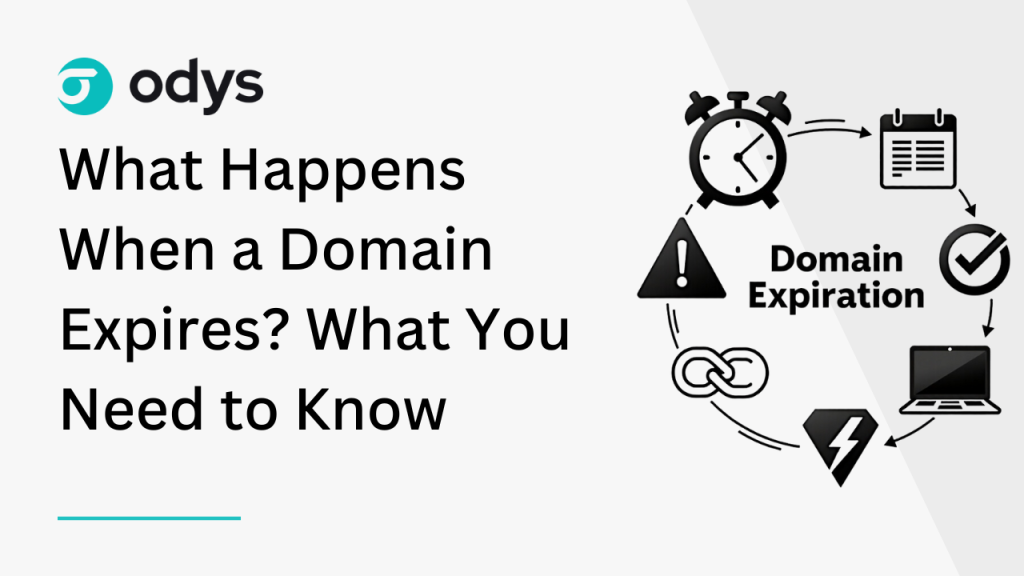 what happen when domain expires featured image