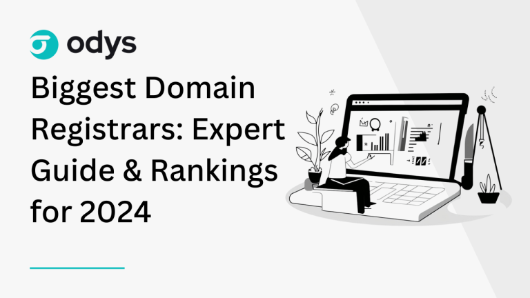 Biggest Domain Registrars_ Expert Guide & Rankings for 2024