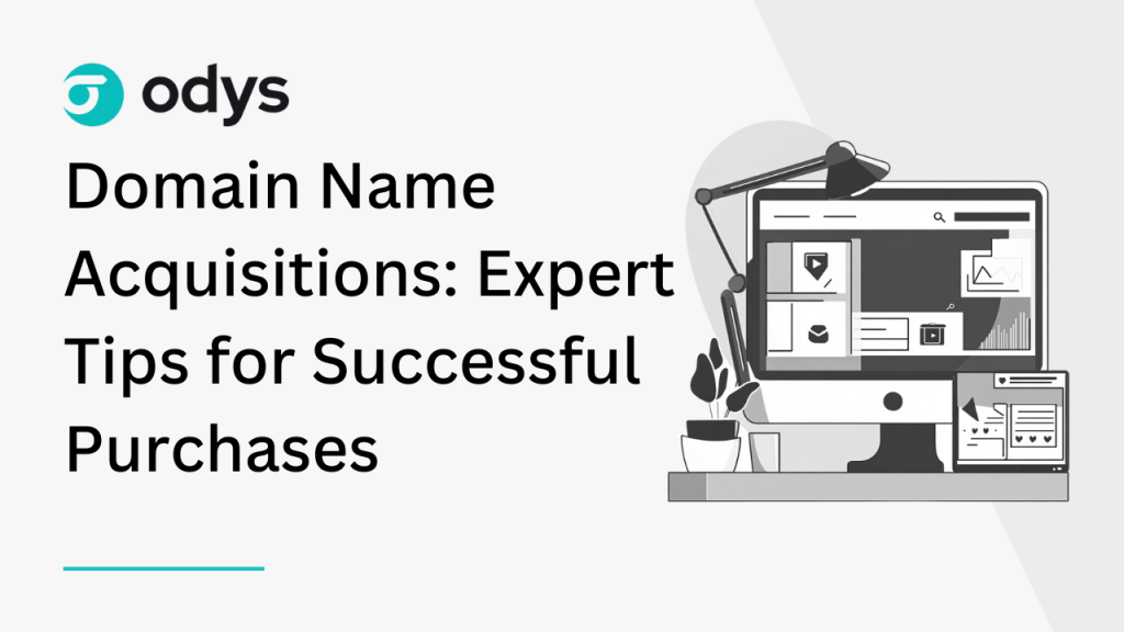 Domain Name Acquisitions_ Expert Tips for Successful Purchases