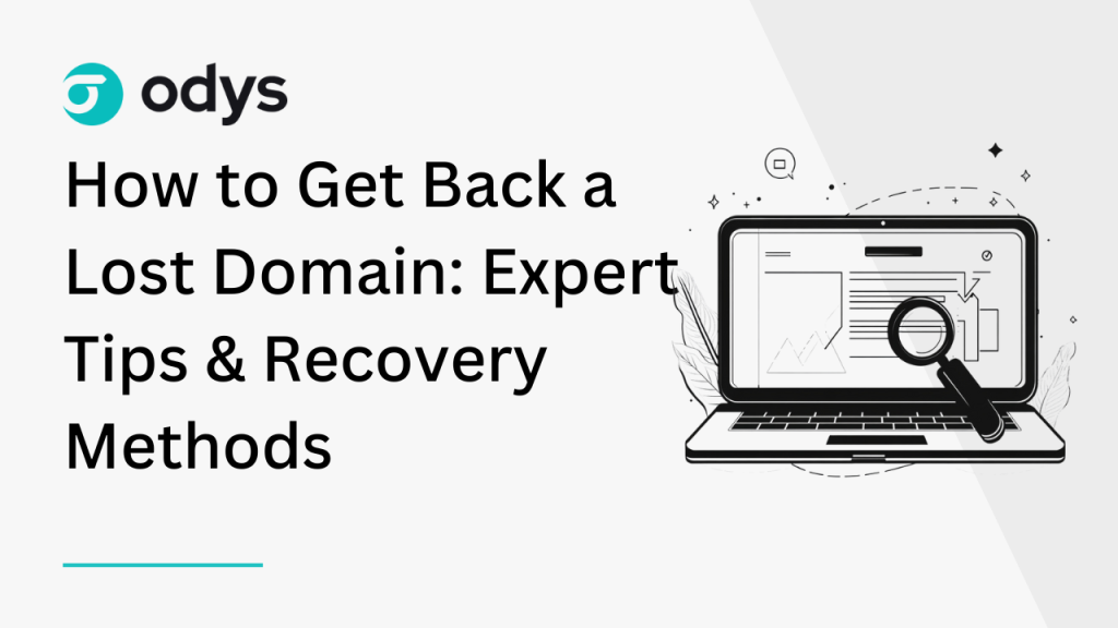 How to Get Back a Lost Domain_ Expert Tips & Recovery Methods